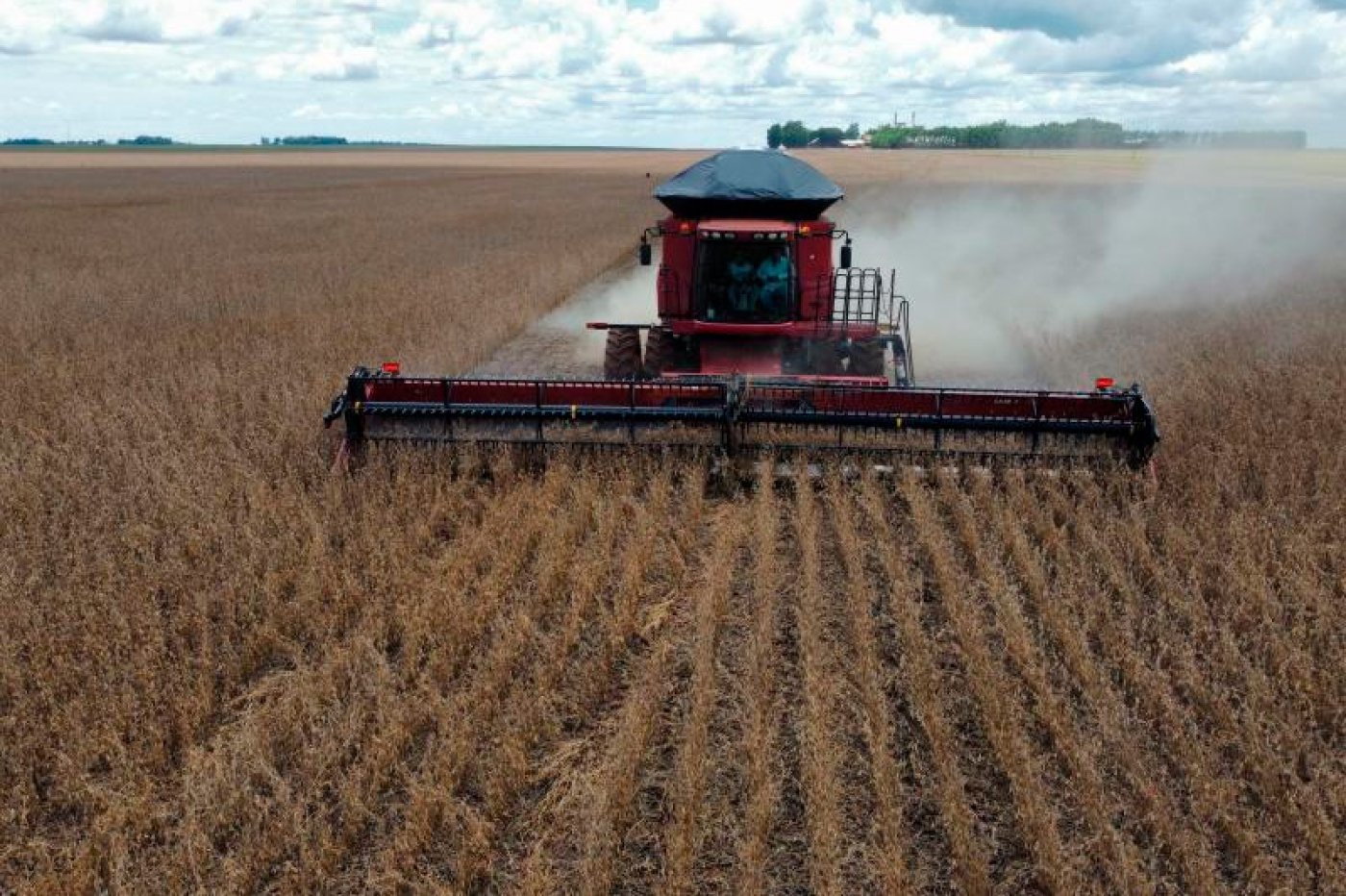 Mato Grosso do Sul tem o segundo maior crescimento do agronegócio entre os principais produtores do país